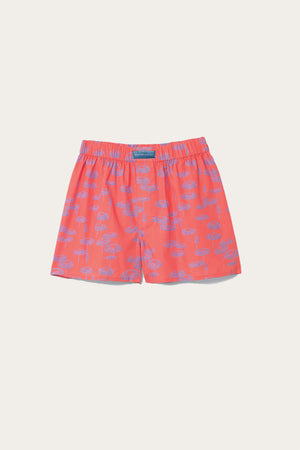 Beach Parasol Boxer Shorts