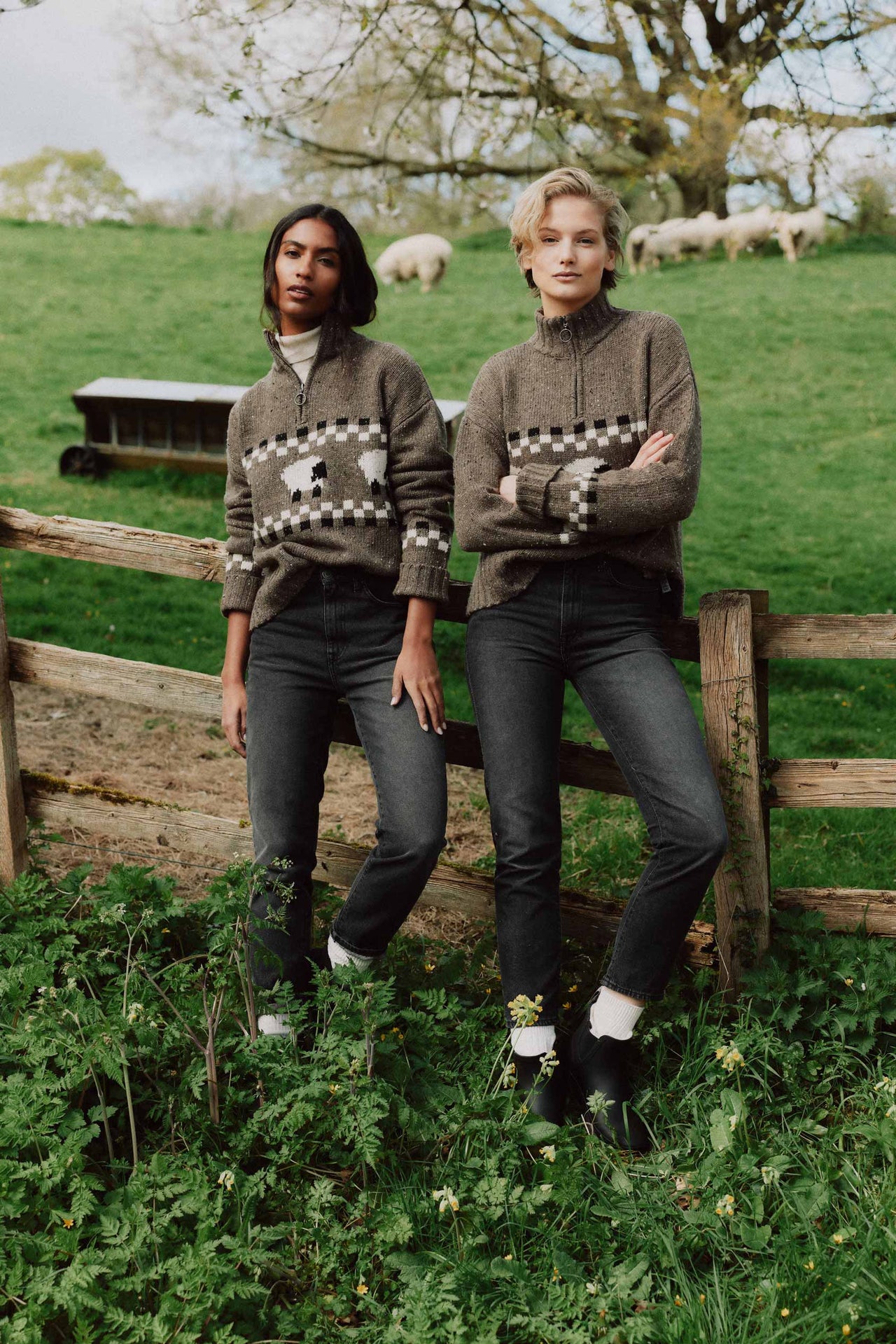 Elevate your seasonal wardrobe this autumn-winter with our Montadale Sheep Half Zip Jumper for women. Soft, stylish, and warm—perfect for layering on chilly days. 